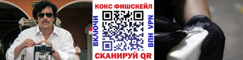 Cocaine Fish Scale  кракен сайт  Ардатов  купить закладку 