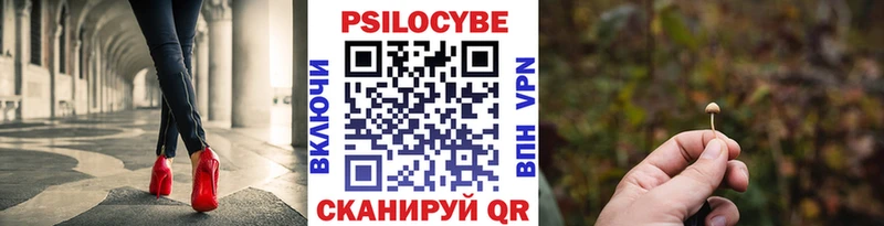 Галлюциногенные грибы Psilocybe  наркотики  Ардатов 